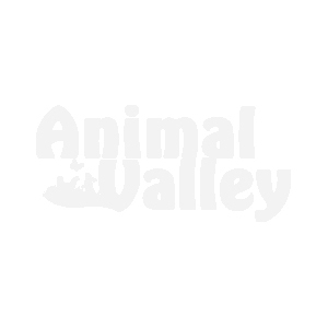Maison De Toilette Et Bac A Litiere Pour Chat Animal Valley