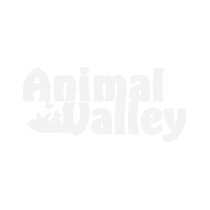 Fabriquer Niche Pour Chat Extérieur En Bois Niche Petit Chien Rocky 2 Bois Fsc Animal Valley