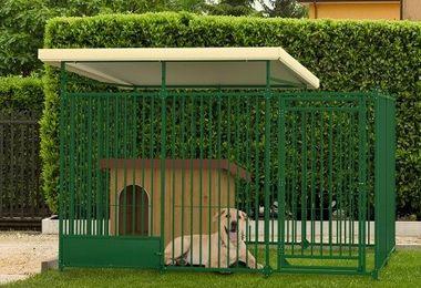 Pourquoi Choisir Un Enclos Ou Chenil Pour Chien Pourquoi Choisir Un Enclos Ou Chenil Pour Chien
