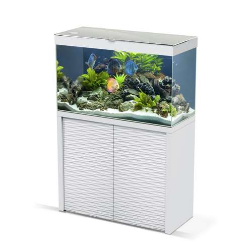 bon emplacement pour son aquarium