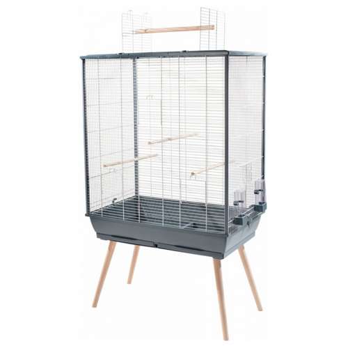 cage à oiseaux en hauteur