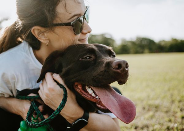 conseils pour chien durant la canicule