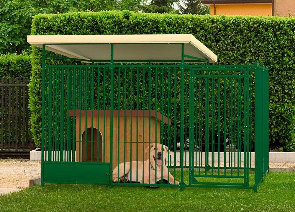 Quelle Surface Pour Un Enclos De Chien NRCEH
