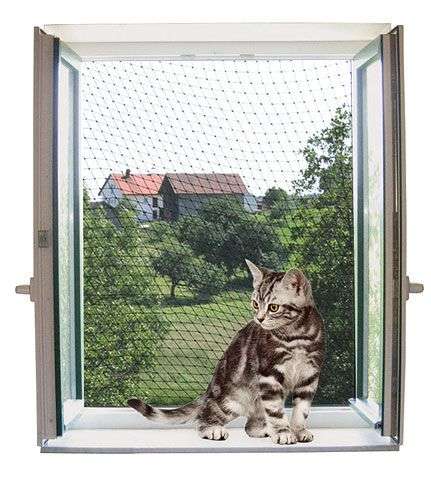 empêcher les fuites de chat