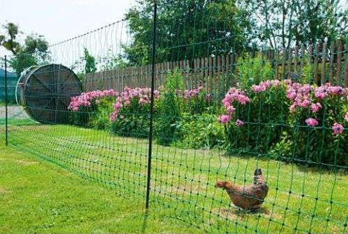filets à poules pour enclos
