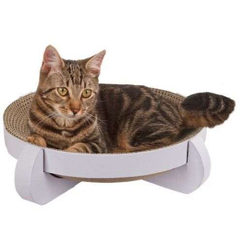 Mon Chat Fait Ses Griffes Sur Mon Canape Astuces Et Conseils Pour Sauver Les Meubles