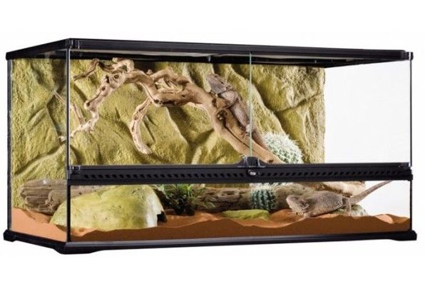 terrarium désertique tout en longueur