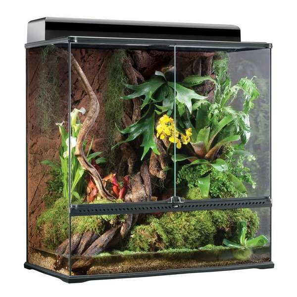 choisir la forme de son paludarium